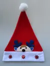 2025 Christmas Decorative hat, red Christmas hat, Santa Claus, children's Christmas cartoon hat, Christmas decorations Item Picture